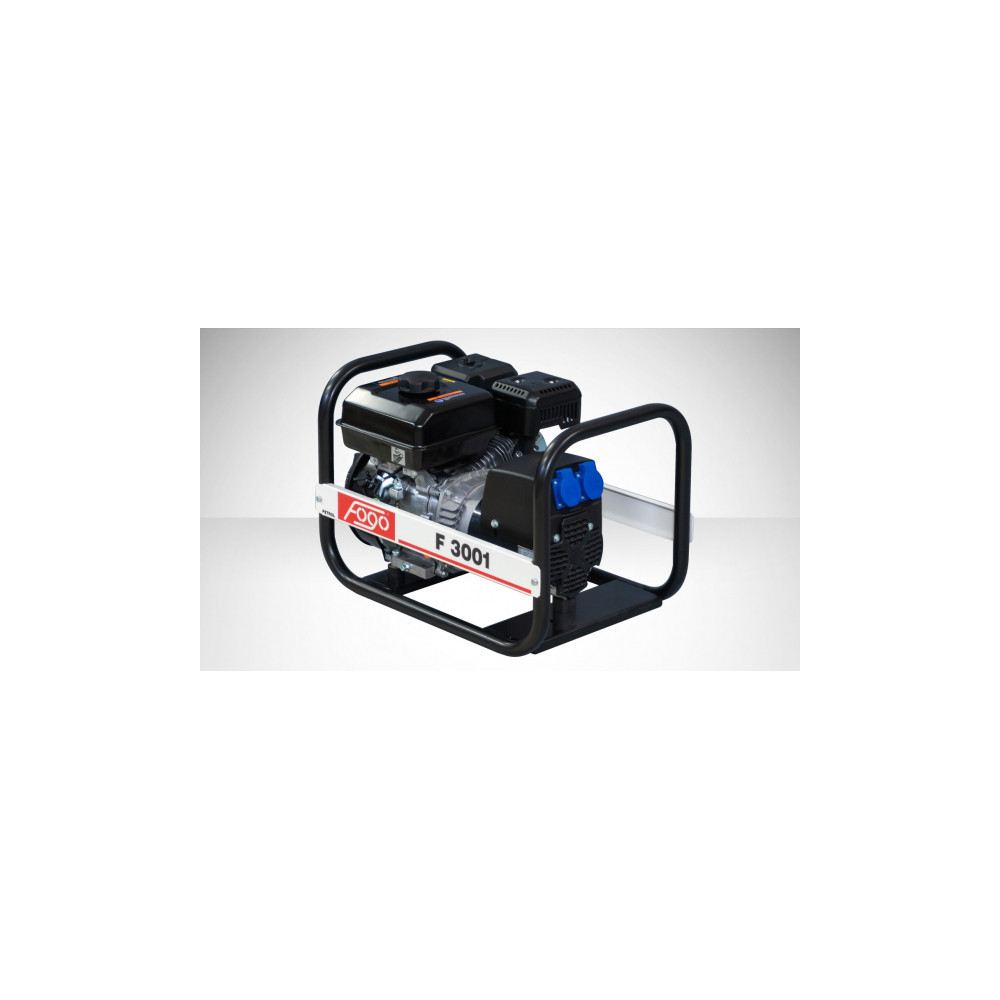 Agregat prądotwórczy jednofazowy FOGO F 3001 | Dobra Cena | Sklep Online - Norwit.pl