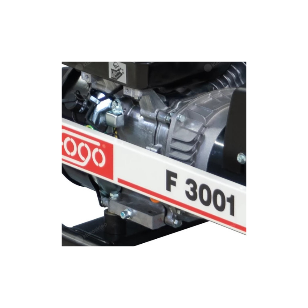 FOGO F 3001 single-phase generator set | Great Price | Online Store - Norwit.pl