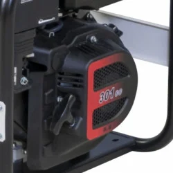FOGO F 4001 single-phase generator set with Rato engine | Great Price | Online Store - Norwit.pl