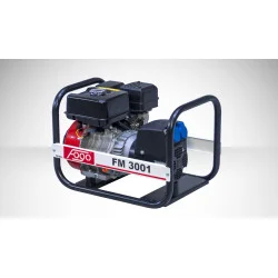 FOGO FM 3001 single-phase generator set | Great Price | Online Store - Norwit.pl