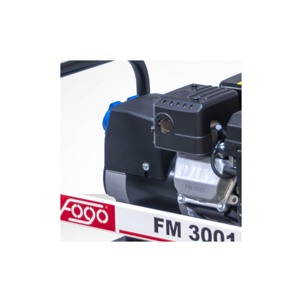 FOGO FM 3001 single-phase generator set | Great Price | Online Store - Norwit.pl