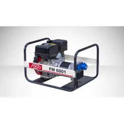 FOGO FM 6001 single-phase generator set | Great Price | Online Store - Norwit.pl
