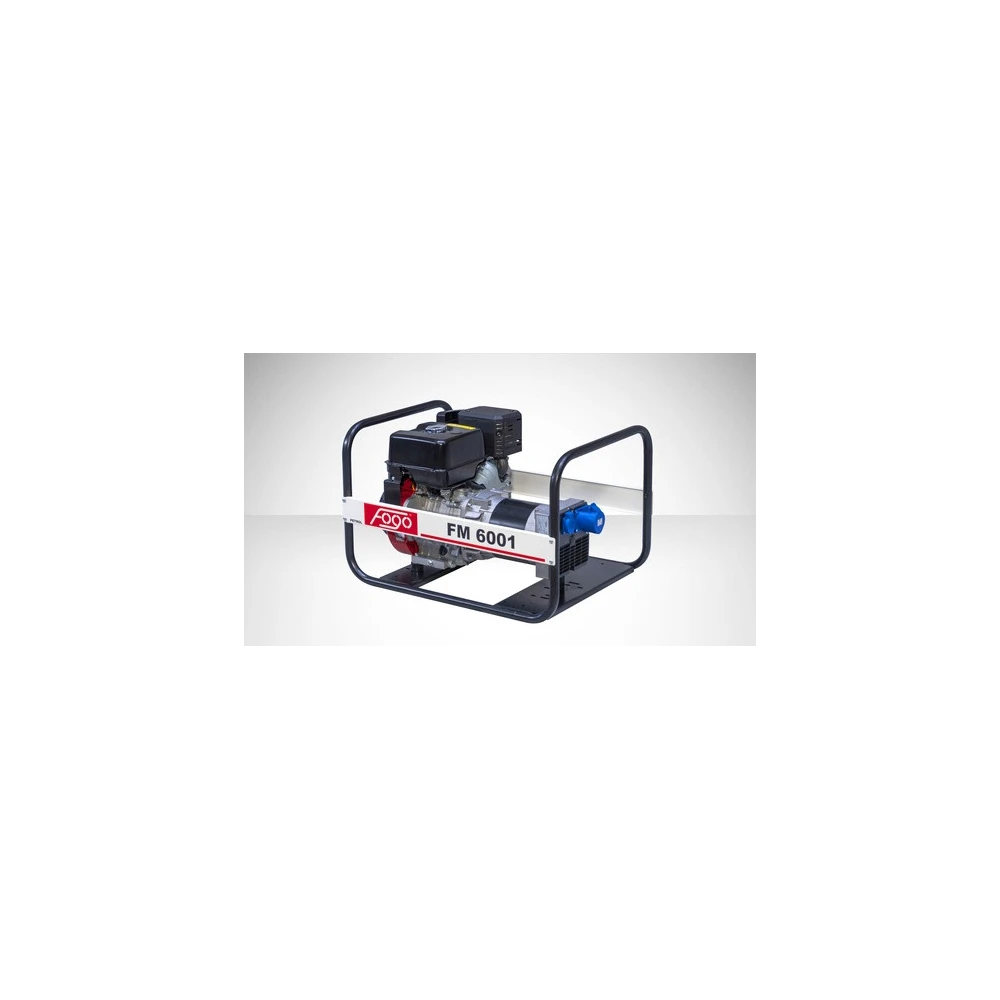 FOGO FM 6001 single-phase generator set | Great Price | Online Store - Norwit.pl