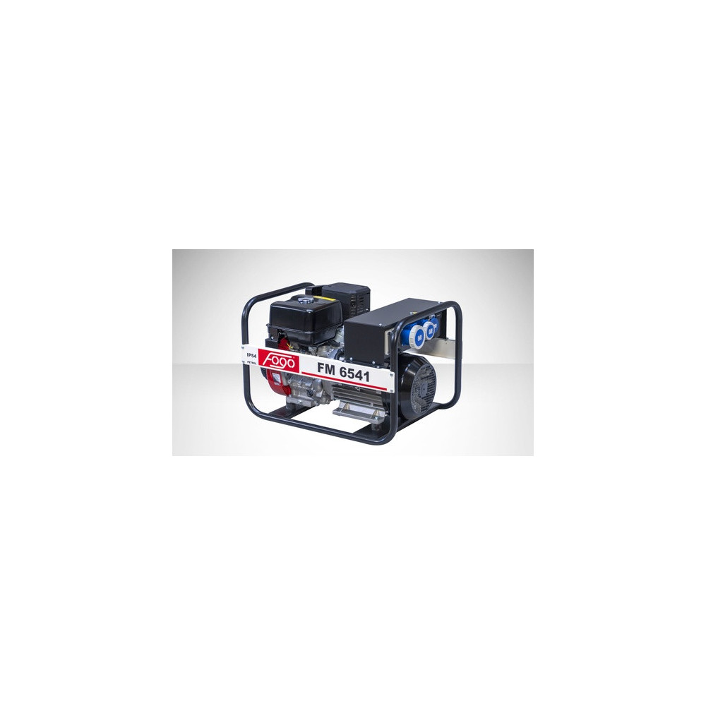 FOGO FM 6541 single-phase generator set | Great Price | Online Store - Norwit.pl