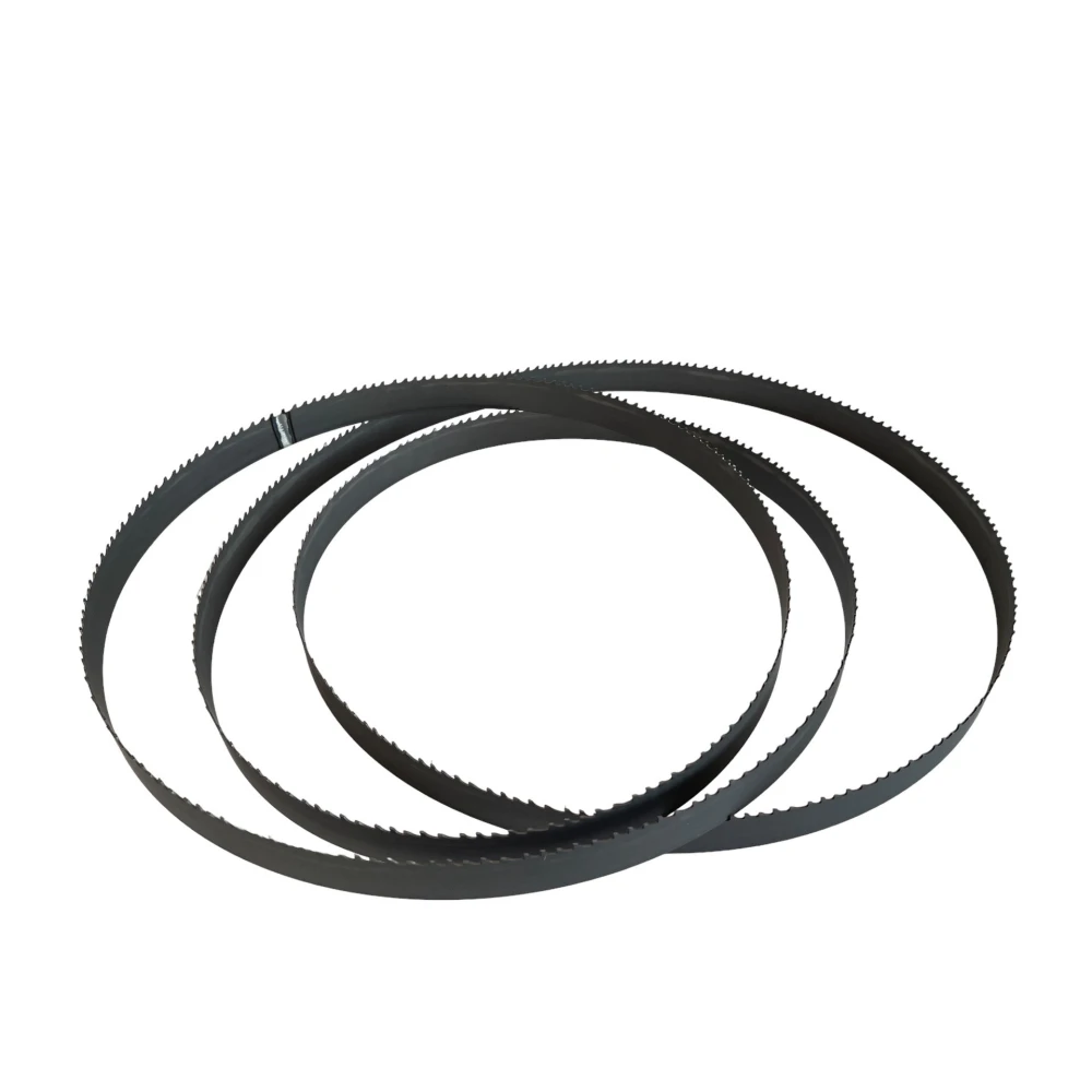 Brzeszczot węglikowy do Porothermu dla Dr. Schulze BAS650 | Dobra Cena | Sklep Online - Norwit.pl