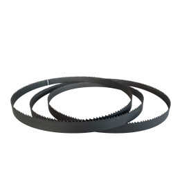 Brzeszczot węglikowy do Porothermu dla Dr Schulze BAS650 | Great Price | Online Store - Norwit.pl