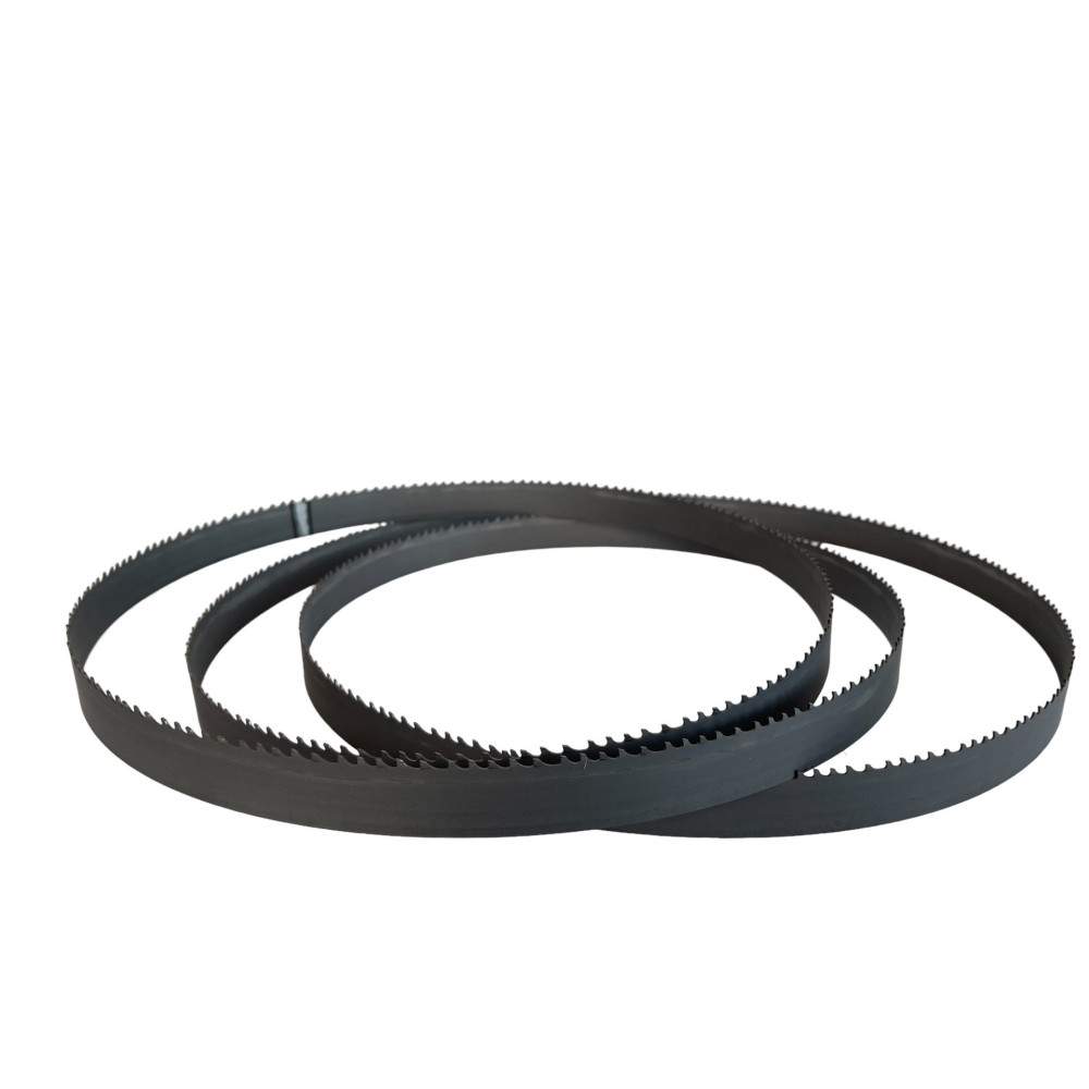 Brzeszczot węglikowy do Porothermu dla Dr Schulze BAS650 | Great Price | Online Store - Norwit.pl