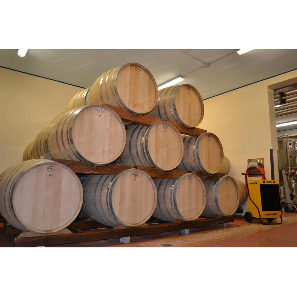 Osuszacz kondensacyjny powietrza MASTER DH 92 | Dobra Cena | Sklep Online - Norwit.pl