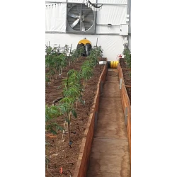 Nagrzewnica olejowa z odprowadzeniem spalin Master BV 400 | Dobra Cena | Sklep Online - Norwit.pl