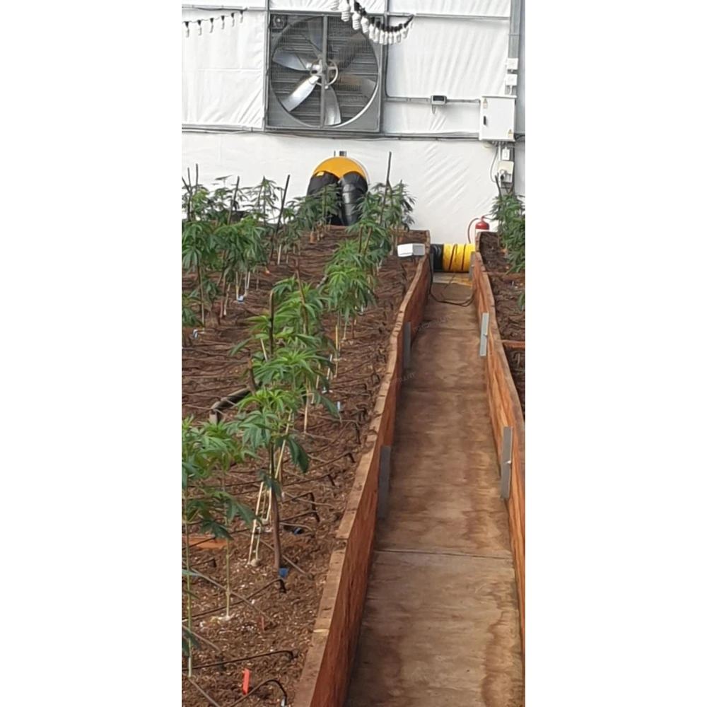 Nagrzewnica olejowa z odprowadzeniem spalin Master BV 400 | Dobra Cena | Sklep Online - Norwit.pl