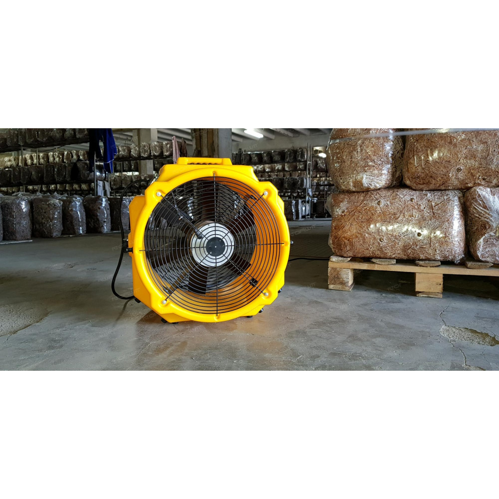 Wentylator Master DFX 20 | Dobra Cena | Sklep Online - Norwit.pl