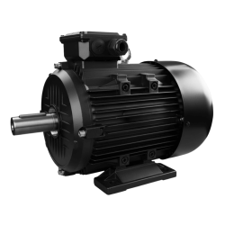 Electric motor for Norton Clipper JUMBO 900 7.5 kW | NORWIT.PL
