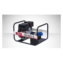 FOGO FM 6001E Single-Phase...
