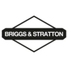 Silniki spalinowe Briggs & Stratton