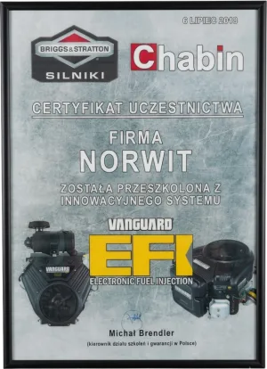 Briggs & Stratton EFI certificate