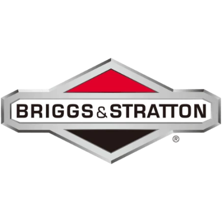 Briggs & Stratton