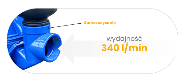 3902649634.thumbnail.png