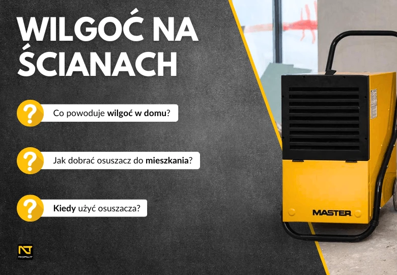 Jak pozbyć się wilgoci ze ścian? Sprawdzone sposoby i polecane osuszacze