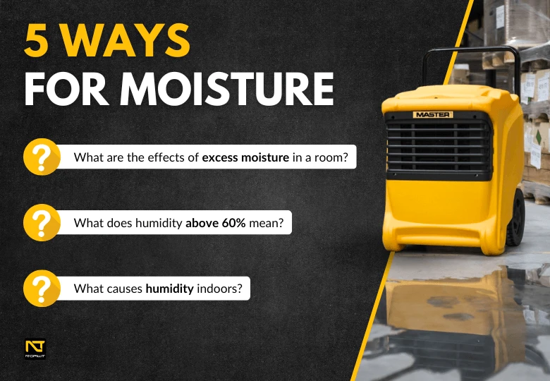 How to Reduce Moisture at Home? 5 Effective Methods and Recommended Dehumidifiers