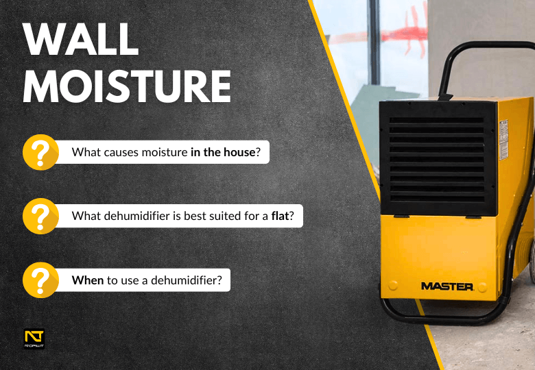 How to Get Rid of Moisture from Walls? Proven Methods and Recommended Dehumidifiers How to Get Rid of Moisture from Walls? Proven Methods and Recommended Dehumidifiers